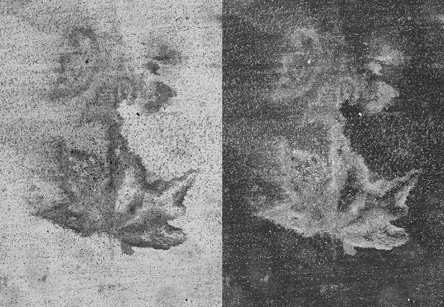 Positive and Negative (Inverted) Image of Decomposed Leaf on Concrete Sidewalk.